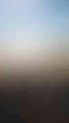 Strand met een kameel en bootjes