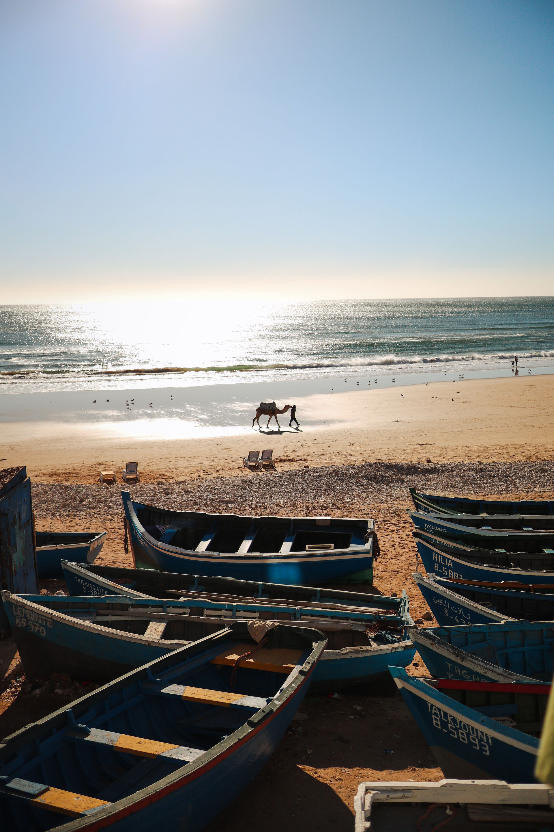 Strand met een kameel en bootjes
