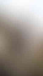 Wandelaar uitkijkend op de bergtop van Zla Kolata