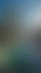 Zwembad met palmbomen