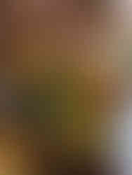 Markt met vers fruit