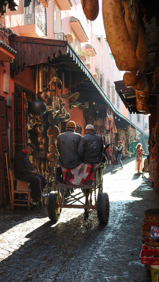 Twee personen in een kar met ezel in een straatje