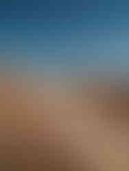 Auto op een zandpad in de woestijn