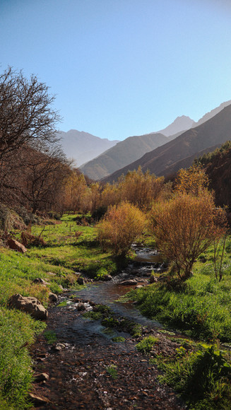 Groene vallei met rivier tussen de bergen