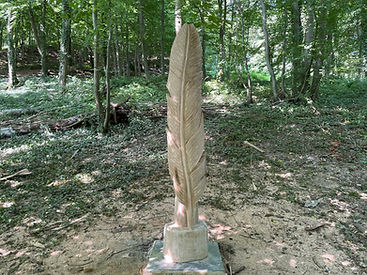 image00003.jpeg