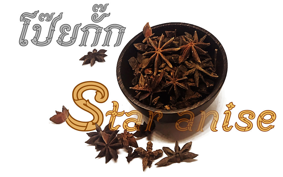 Star Anise