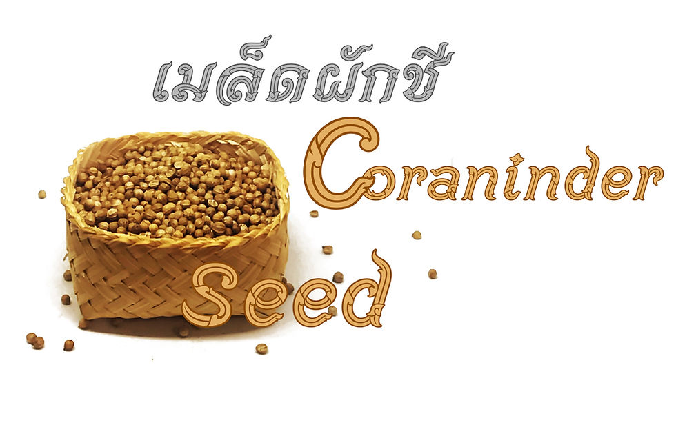 Coriander seed