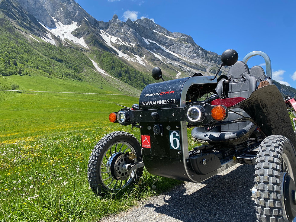 Yes Alpiness Col des Aravis.JPEG