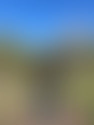 Créatine pour femme : bénéfices, idées reçues et conseils pratiques