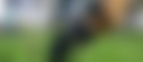 Юні туристи