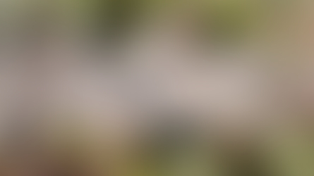 Monkey mind: mindless mind chatter or unfinished business?