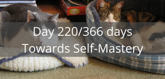Four-legged therapists