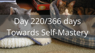 Four-legged therapists