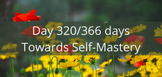 Seasonal summer changes brighten and uplift
