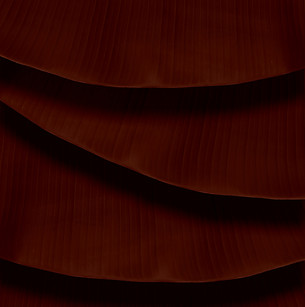 brown and black abstract painting_edited