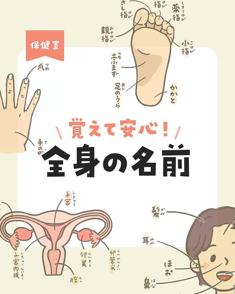 体の部分名称