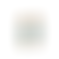 小学生の体操服着用例