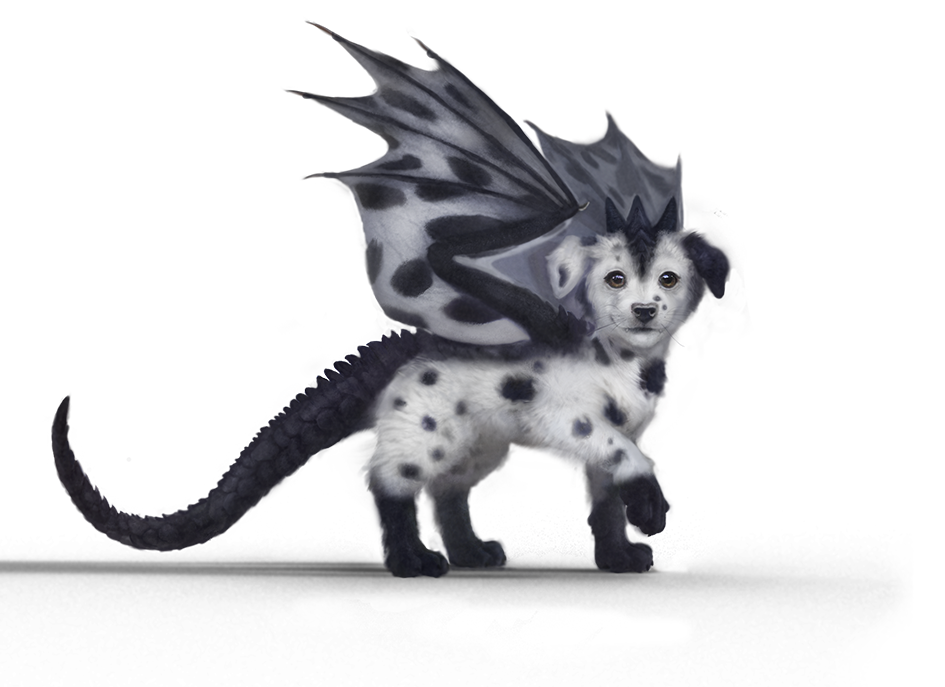 Tupfer der Dalmatinerdrache