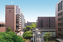 武庫川女子大学で講義しました
