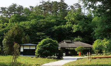 THE 剛腕HASH村