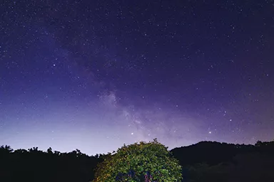 THE 剛腕HASH村 写真4