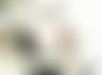 وظائف مديكال ريب في مصر بتاريخ 6 نوفمبر 2017