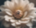 inject-blog-service_1736520450164.png