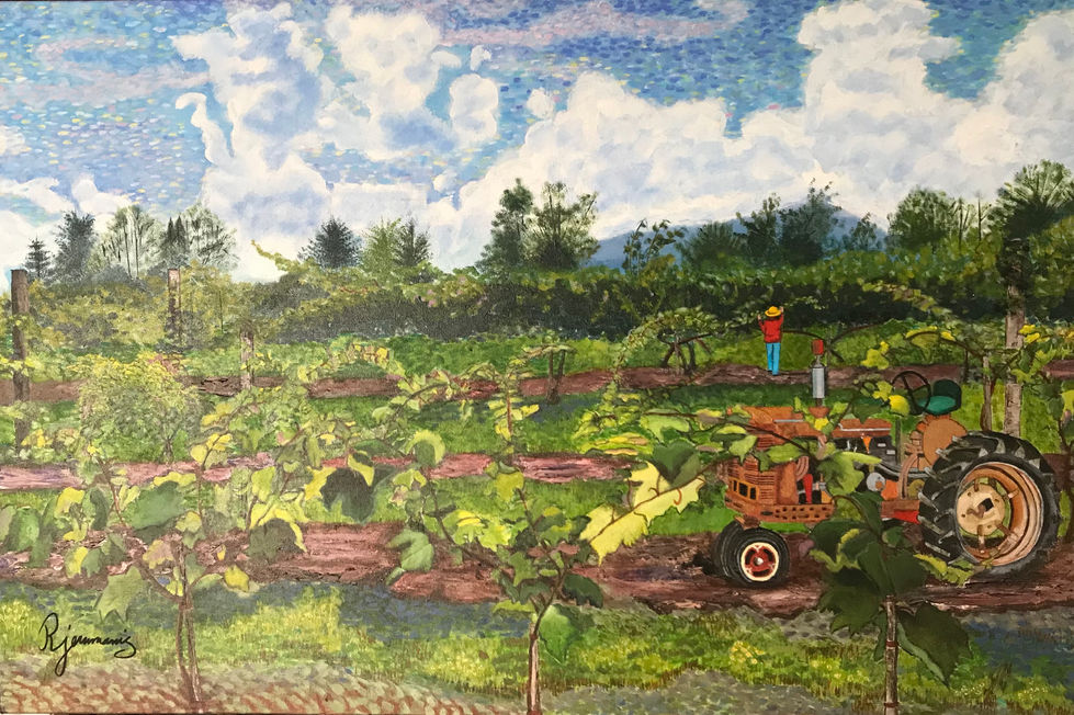 Painting of a vineyard with a tractor