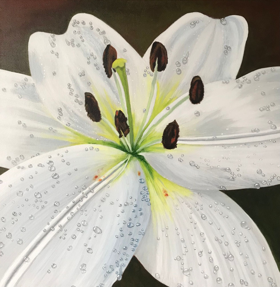 Painting of white Lily