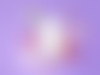 As RRSS en España: unha estrutura social que se afianza