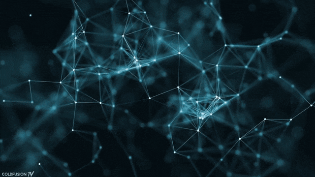 network.gif