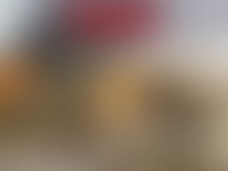 Day 9: Flames of War