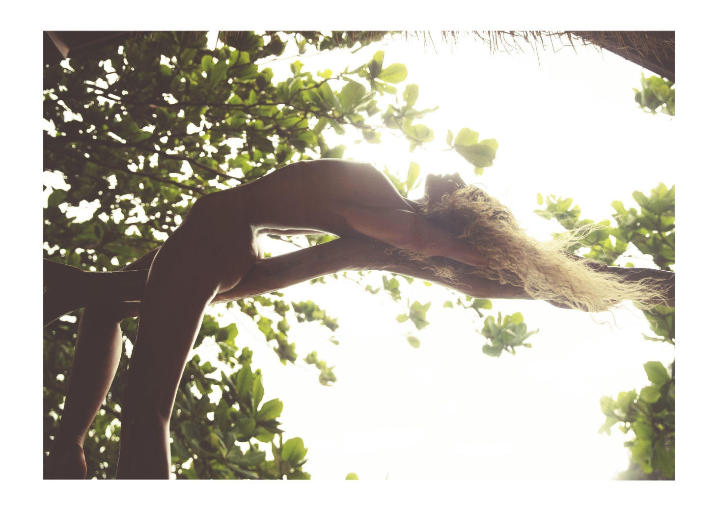 Exclusive Fine Art Piece