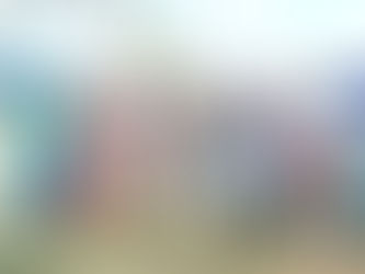 Meeting with SALT Representatives