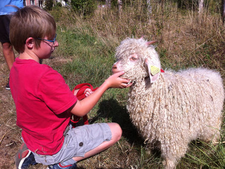 Enfant - chèvre ferme pédagogique