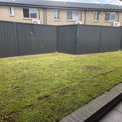 Turf Installation