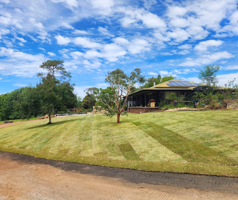 Artificial Turf vs Real Turf: Which Is Better for Your Property?