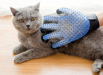 cat shedding - cat health - Catastrophe Cat Grooming