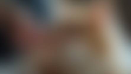 Transform Your Cat's Health with Professional Grooming Services