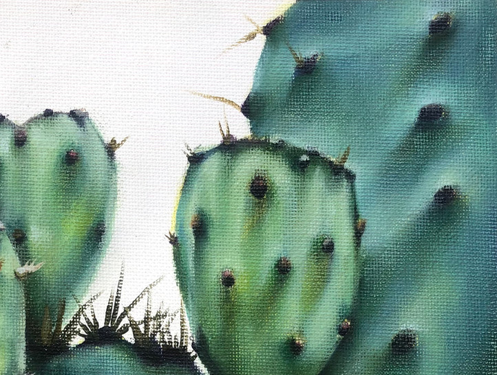 TEXAS PRICKLY PEAR - ridge