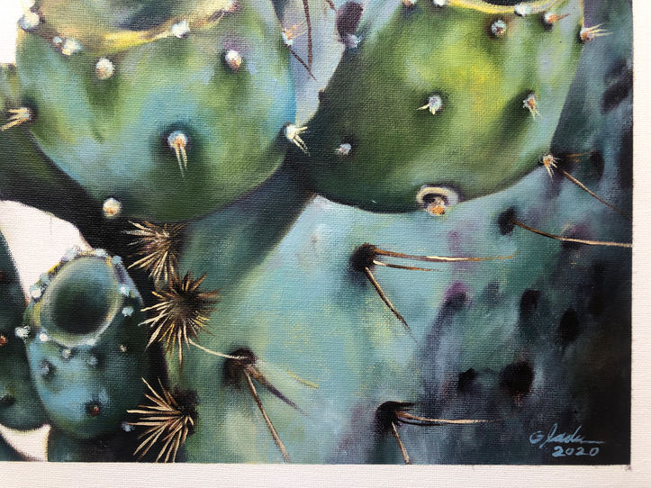 TEXAS PRICKLY PEAR - trio