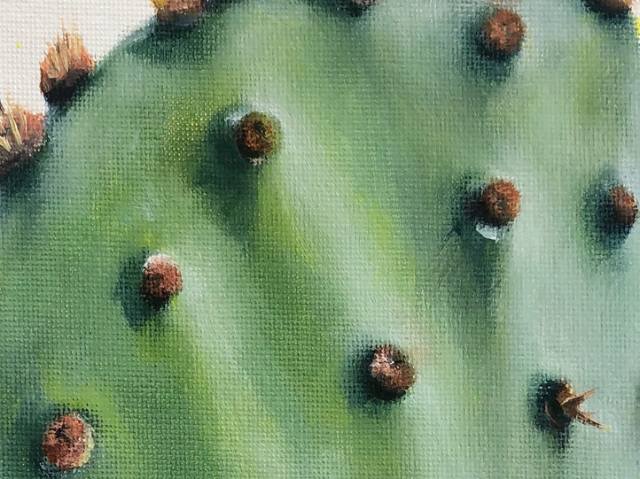 PRICKLY PEAR PORTRAIT - one