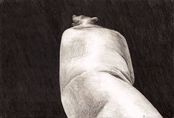 Observational Study (2014)