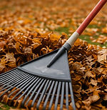 Seasonal Cleanup