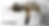 MP7 A1 GBBR Loadout Deal (Tan)