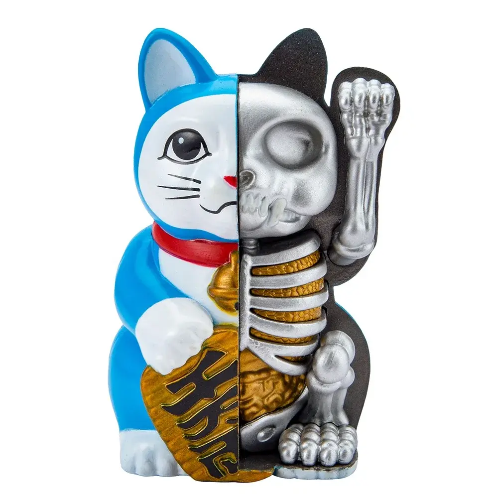 4D Blue Fortune Cat Anatomy Model Kit