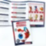 Thumbnail: 4D Human Eye Anatomy Model Kit