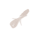 Thumbnail: issei Umitaro Jaco Bug Power Soft Creature Bait Lure 3.5"