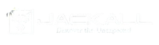 jackall-tackles-baits.png