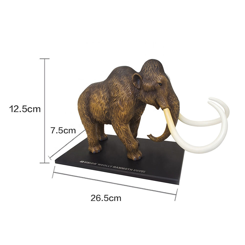 4D Woolly Mammoth Anatomy Model Kit
